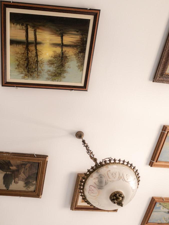 Collector'S Home Braga Dış mekan fotoğraf